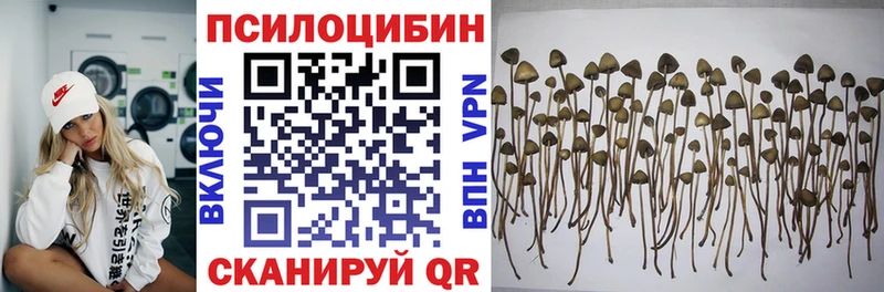 Галлюциногенные грибы Psilocybe  наркошоп  Верхоянск 
